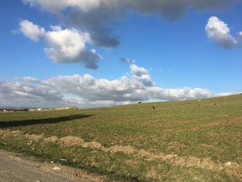 Scenic view of field against sky