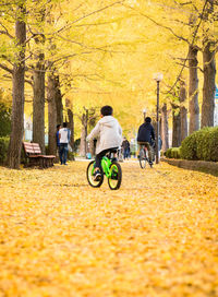 People on footpath amidst yellow trees at park during autumn