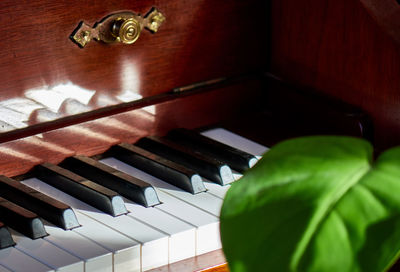 Close-up of piano keys