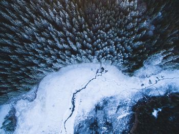 High angle view of tree during winter