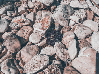 High angle view of stones