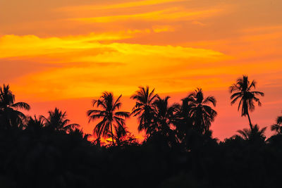 Silhouette trees against dramatic sky during sunset