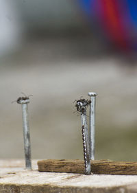 Close-up of water pipe against wall