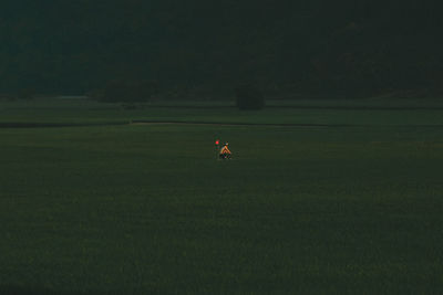 Man running on field