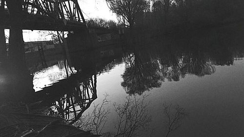 Reflection of trees in water