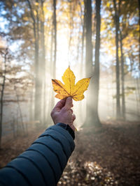 Low section of woman holding autumn leaf