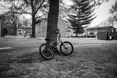 Bicycle parked by tree outside building