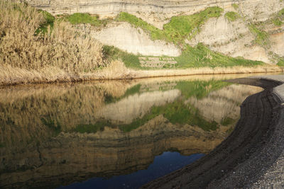 Reflection of trees on lake