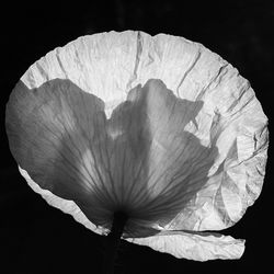 fragility