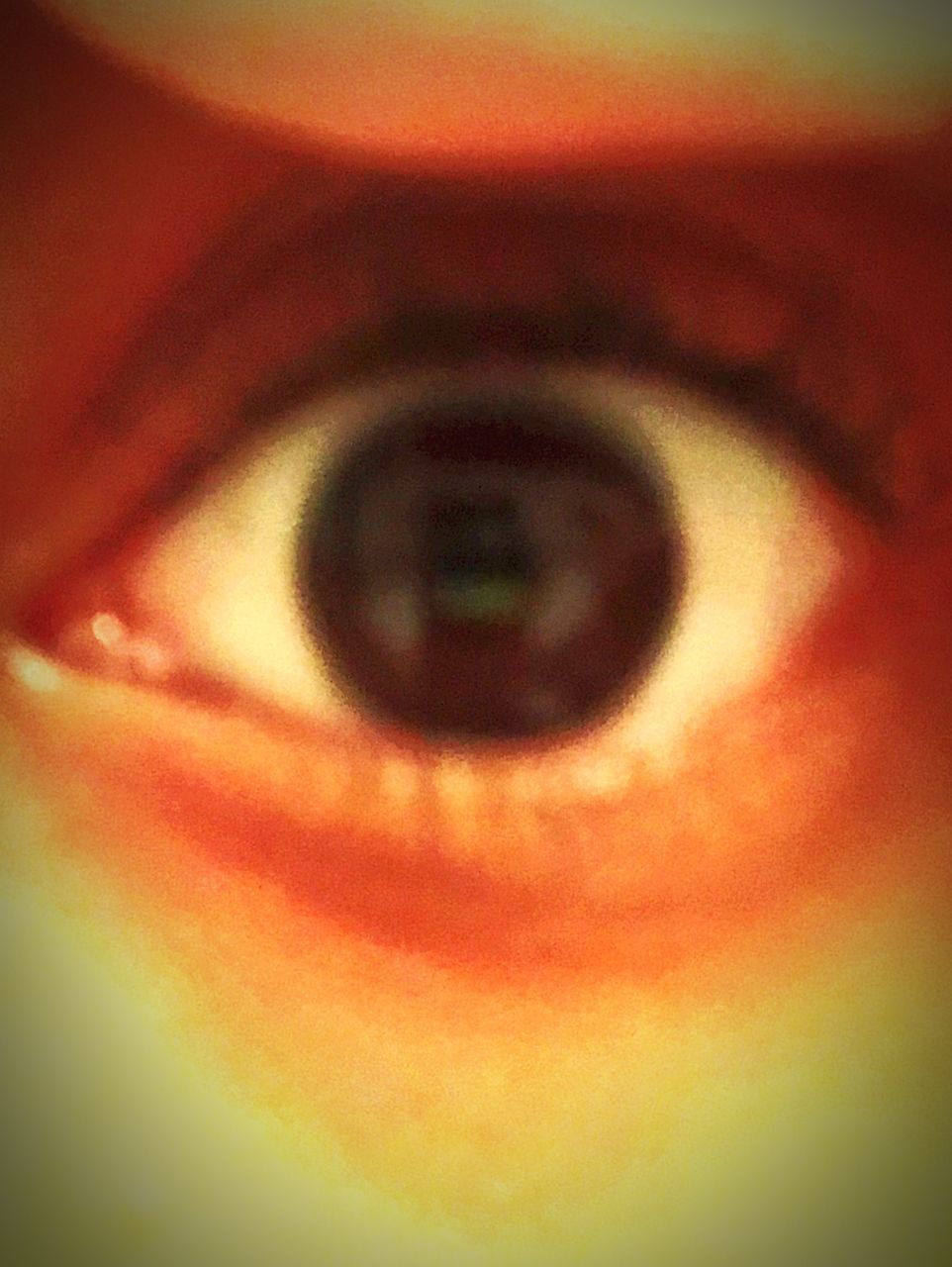 human eye, eyesight, sensory perception, eyeball, close-up, iris - eye, human body part, eyelash, one person, indoors, day, people