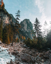 Scenic view of rocks in forest against sky