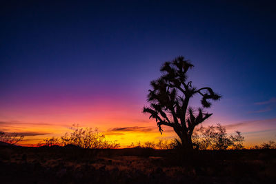 Silhouette trees on field against romantic sky at sunset