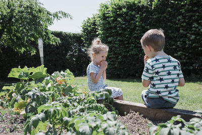 Siblings eating fruits while sitting on retaining wall by plants at park