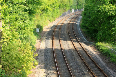 High angle view of railroad tracks amidst trees in forest