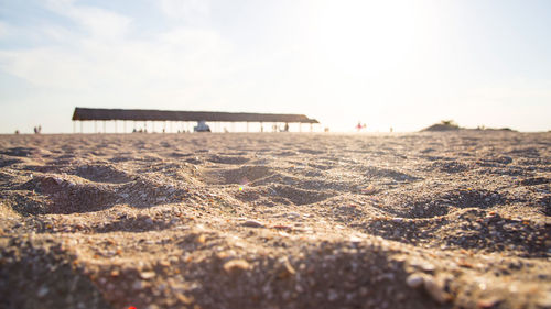 Surface level of sandy beach against sky on sunny day