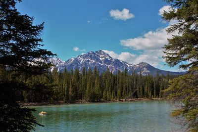 Scenic view of lake by trees against sky