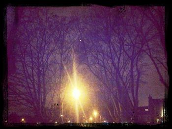 Low angle view of bare trees against sky at night