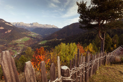 Awesome autumn view of the tires valley with catinaccio peaks profile in the background, italy