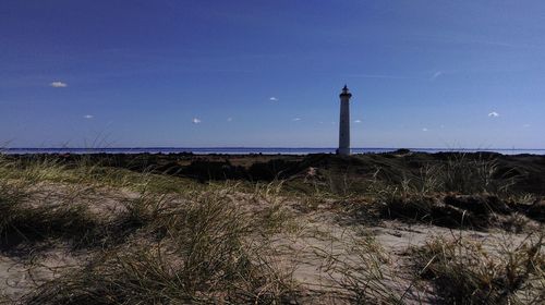 Grass on field against clear blue sky