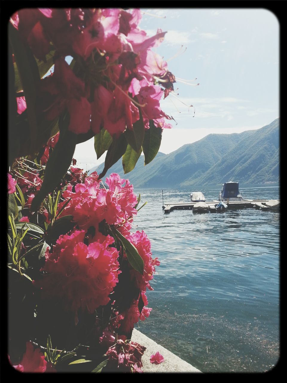 transfer print, water, flower, sky, auto post production filter, mountain, beauty in nature, nature, tree, lake, growth, river, pink color, cloud - sky, outdoors, freshness, day, built structure, scenics, no people