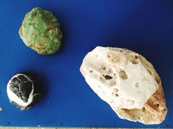 High angle view of bread in plate
