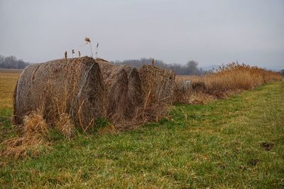 Hay bales on field against sky