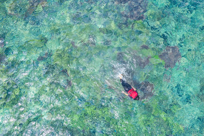 High angle view of person swimming in sea