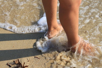 Low section of person with cat on sand at sea shore