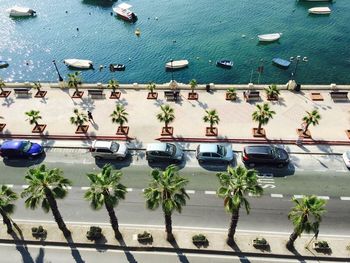 High angle view of cars parked by palm trees on street