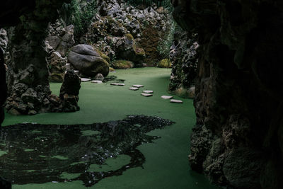 View of rock formation on river in forest