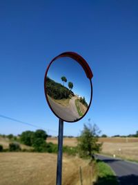 Close-up of tree against clear blue sky