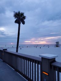 Palm trees on beach against sky during sunset