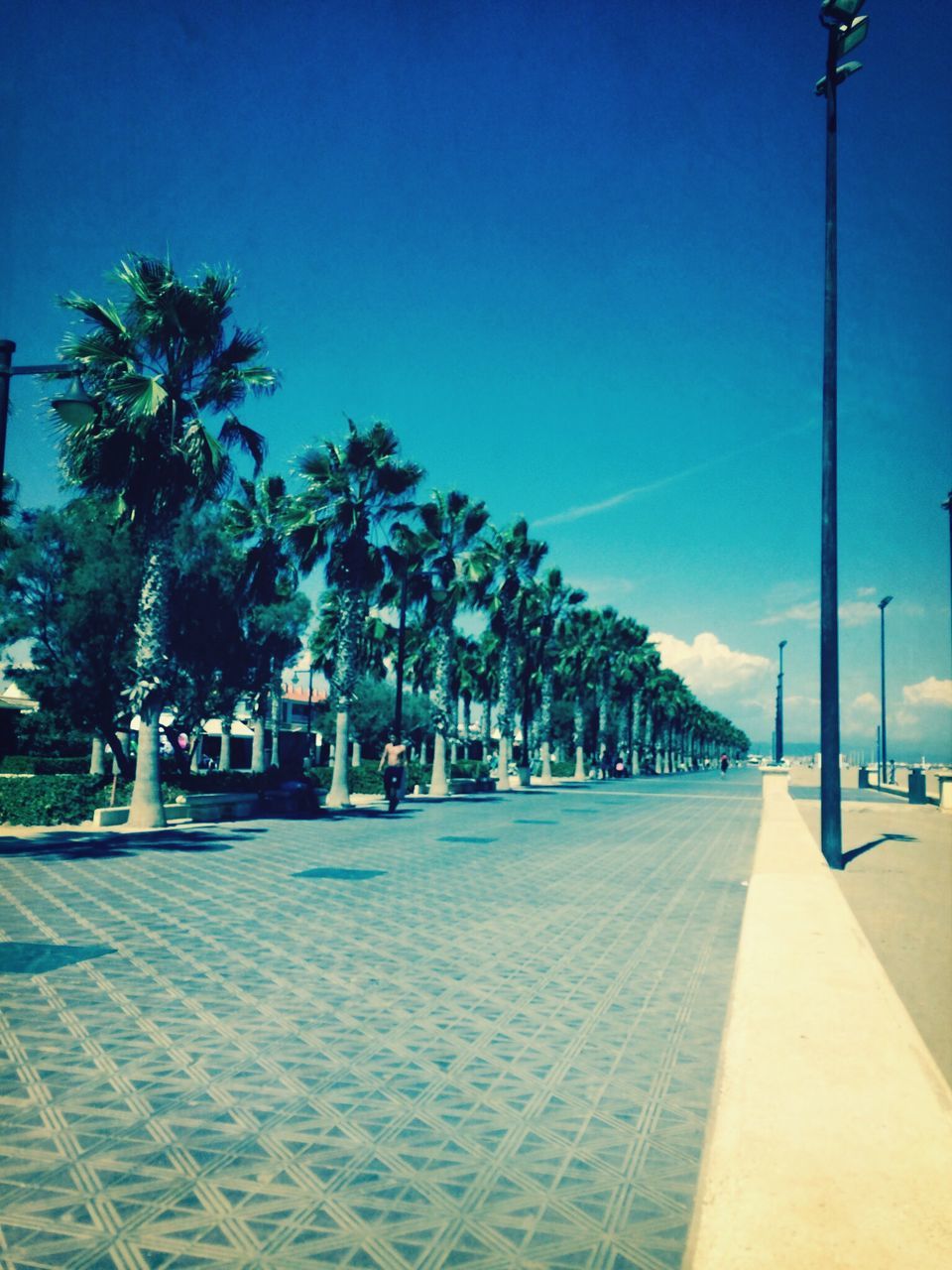 blue, clear sky, the way forward, tree, palm tree, street light, road, street, transportation, sunlight, empty, sky, copy space, shadow, diminishing perspective, outdoors, footpath, incidental people, vanishing point, built structure