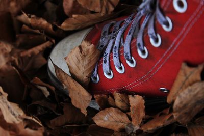 Detail shot of shoes on dry leaves