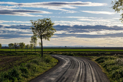 Scenic view of field against sky during sunset
