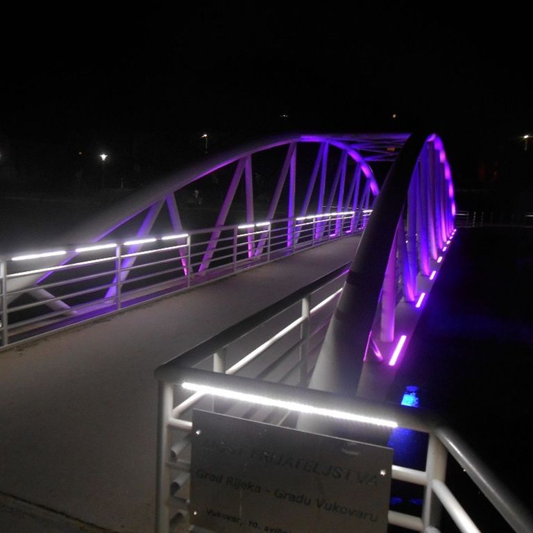Frendship bridge