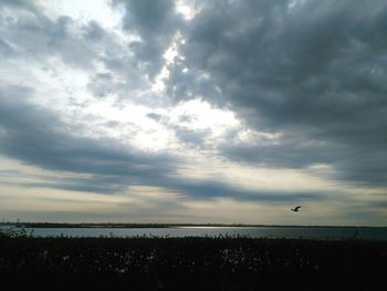 Silhouette birds flying over sea against sky