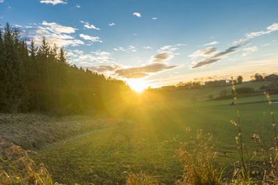 Scenic view of field against sky during sunset