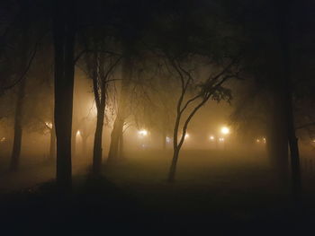 Silhouette trees against sky at night