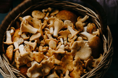 High angle view of mushrooms in basket