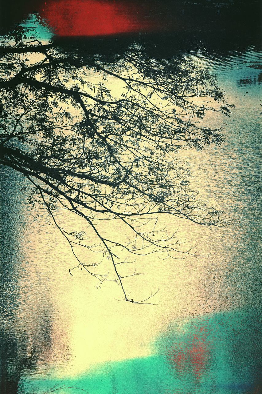 tree, plant, beauty in nature, water, nature, tranquility, no people, branch, day, tranquil scene, outdoors, sky, scenics - nature, reflection, auto post production filter, lake, land, idyllic, growth, textured effect