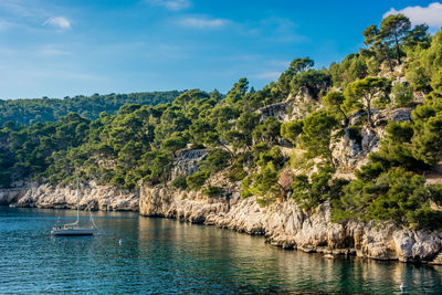 Trees growing on rocky mountain by sea against blue sky