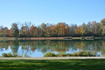 Scenic view of lake in forest against clear sky