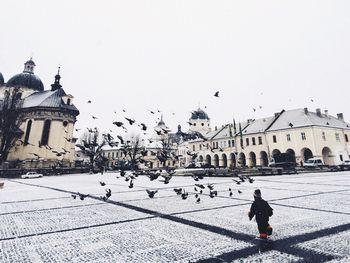 Child walking on street against birds and buildings on sunny day