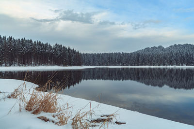 Scenic view of lake against sky during winter