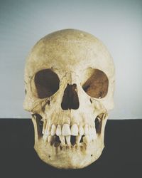 Close-up of human skull against white background