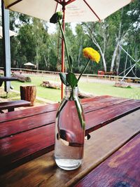 Close-up of flower vase on table