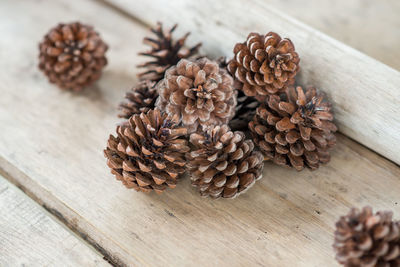 Close-up of pine cone on table