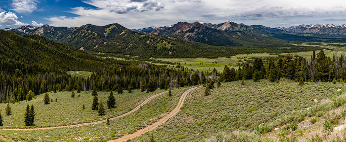 Panoramic shot of pine trees against sky