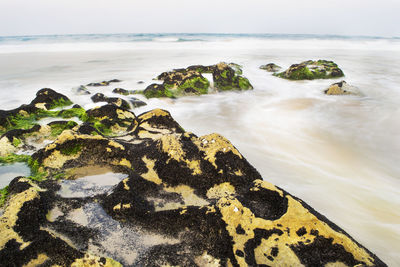 Close-up of rock on beach against sky